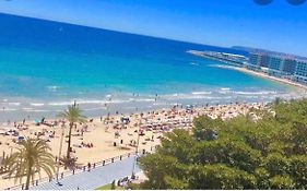 Estudiotel Heart of Alicante